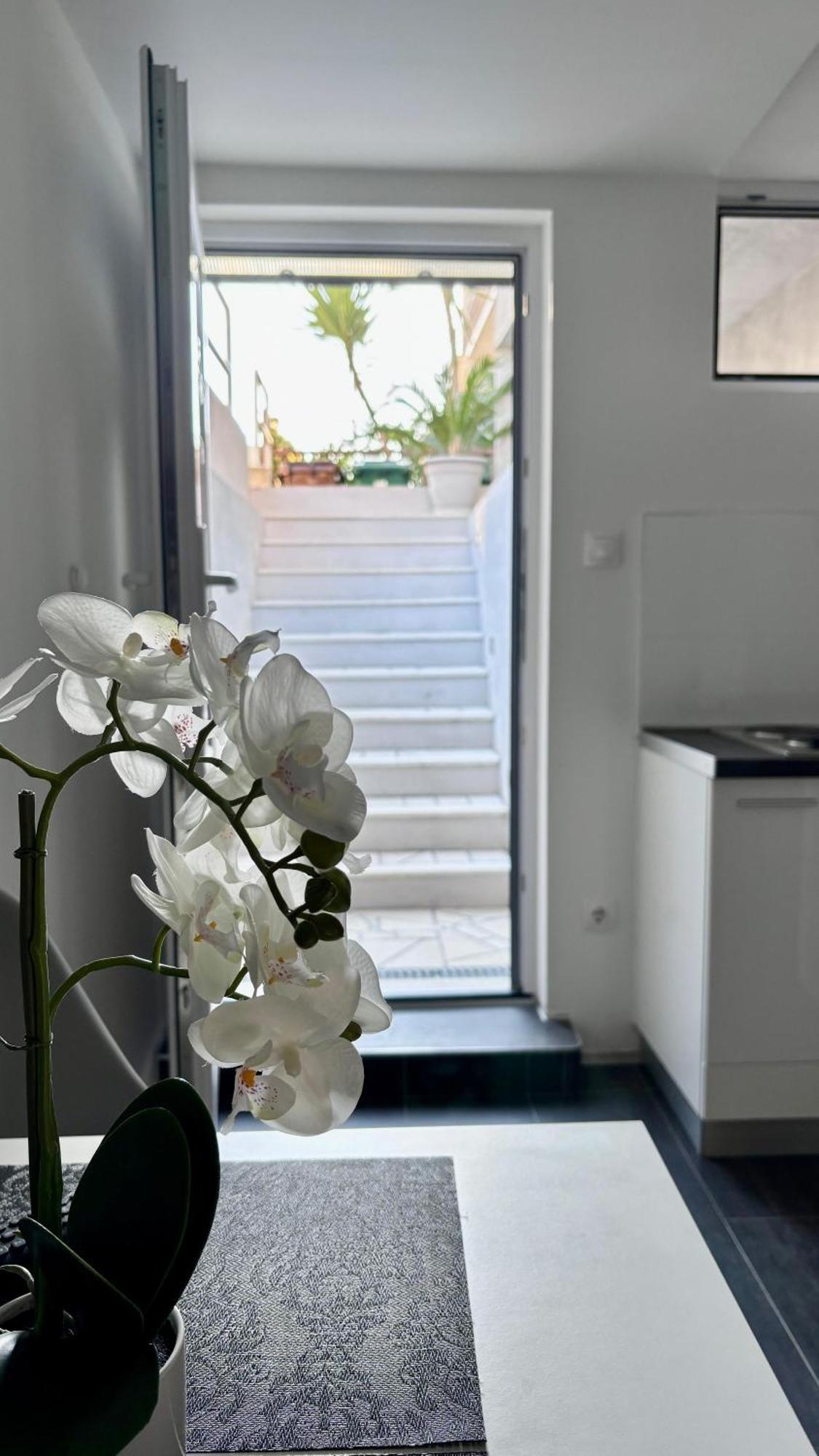 Apartman Branka *** สปลิท ภายนอก รูปภาพ